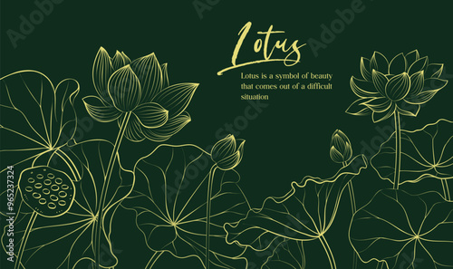 Hand painted elegant linear illustration of Lotus pond Lotus flowers on a dark background