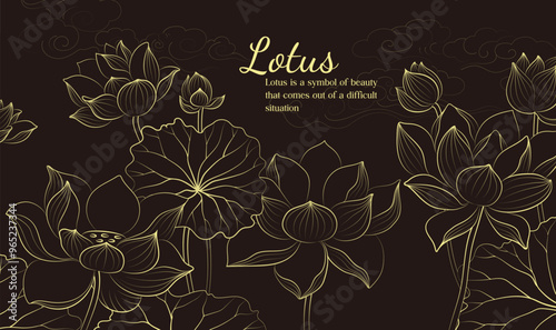 Hand painted elegant linear illustration of Lotus leaf Lotus on a dark background