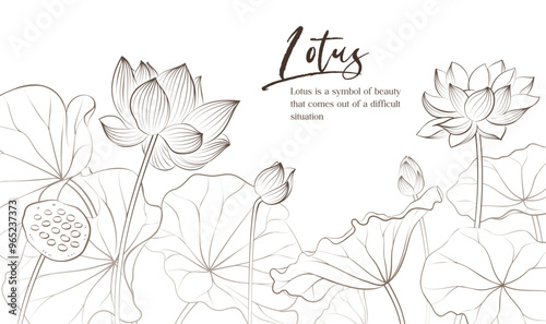 Hand painted elegant linear illustration of Lotus pond Lotus flowers on a light background