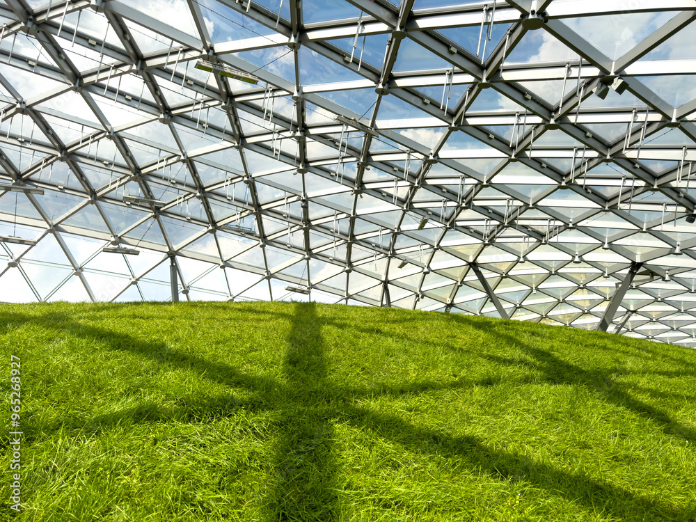 Fototapeta premium Green lawn under the dome