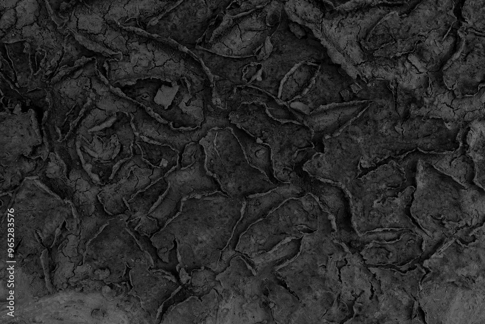 Fototapeta premium Dry stains of sediment