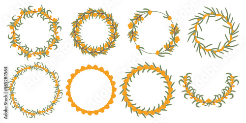 Big collection of sea buckthorn berry wreaths with green leaves, depicting circular compositions of the vibrant orange berries and luxuriant foliage.
