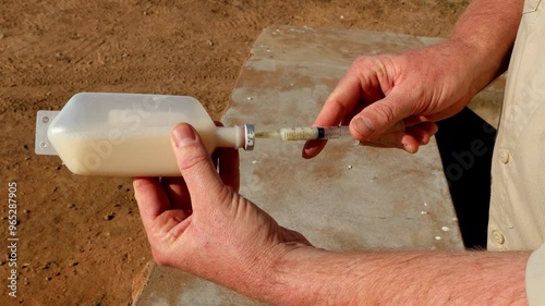 Veterinarian extracts livestock medicine into syringe on farm, top close-up view