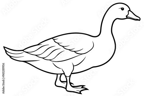 Goose line art vector, goose outline icon 