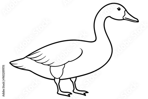 Goose line art vector, goose outline icon 