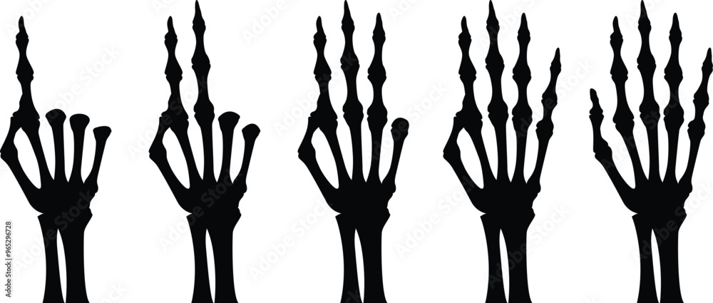 Fototapeta premium silhouette counting skeleton hands on transparent background, vector design