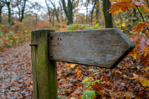 Wooden signpost in autumn with colorful leaves