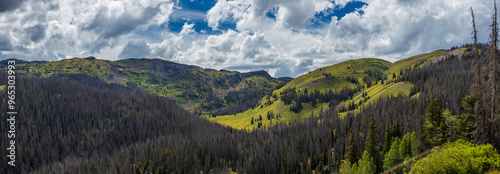 rolling tundra hills in the sunlit summer afternoon