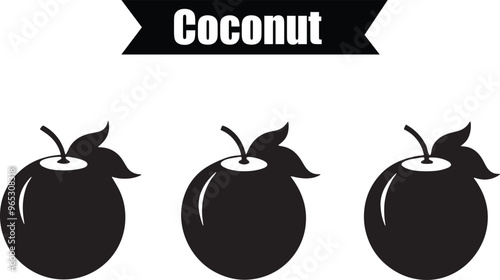 Coconut Elegant Silhouette Vector Illustrations