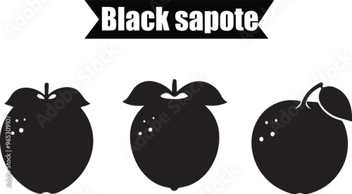 Black Sapote Outline Silhouette Graphics Collection