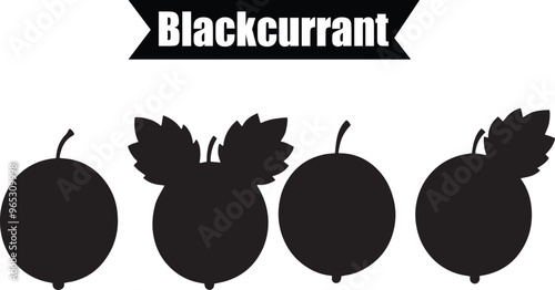 Blackcurrant Elegant Silhouette Vector Illustrations