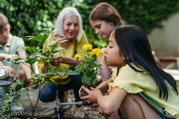 Young kids taking care of plants in school garden during at outdoor sustainable education class, planting flowers, herbs and vegetables. Concept of experiential learning and ecoliteracy.