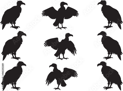 Griffon Vulture Versatile Black Silhouette Vector Series