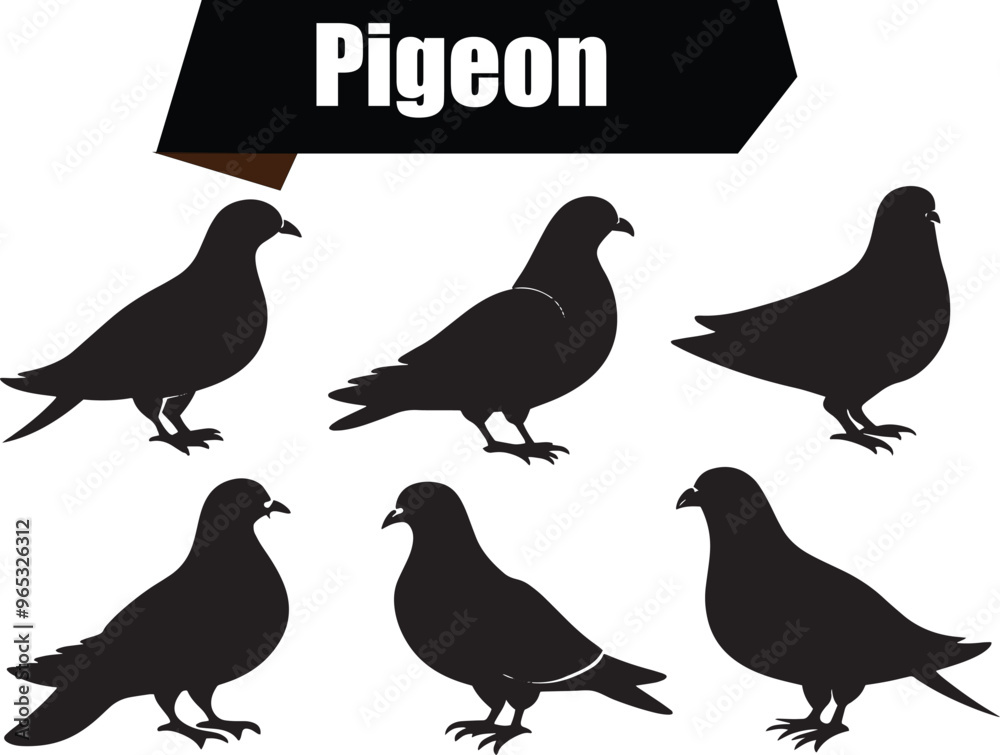 Fototapeta premium Pigeon Versatile Black Silhouette Vector Series