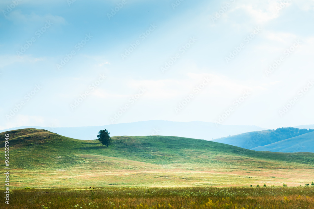 Fototapeta premium Hills and mountains with green grass in summer. Blue sky with clouds.