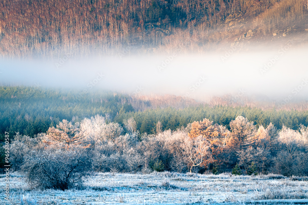 Frost-covered trees and grass in autumn forest at foggy sunrise. Clouds over the mountains and forest.