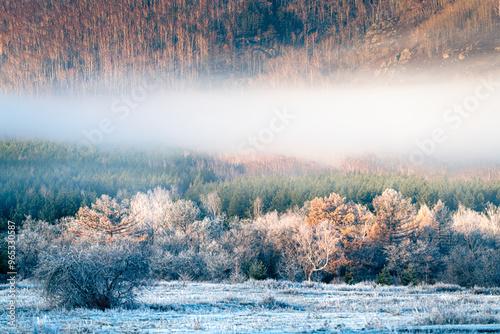 Obraz na płótnie Frost-covered trees and grass in autumn forest at foggy sunrise. Clouds over the mountains and forest. w salonie
