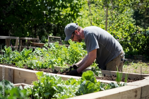 A landscaper constructing a raised garden bed for vegetables. He’s building the frame and filling it, Generative AI