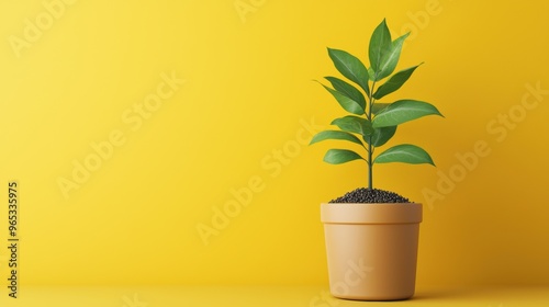 Growing Retirement Fund Concept - 3D Money Plant Illustration with Copy Space in Ultra HD