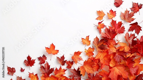 Vibrant, autumnhued maple leaves scattered artistically on a pristine white background, providing a fresh and festive canvas with blank space for Canada Day text photo
