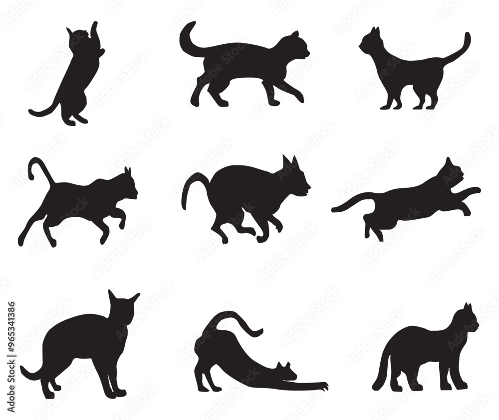 Silhouette of Cats vector. Silhouette of Cats vector.