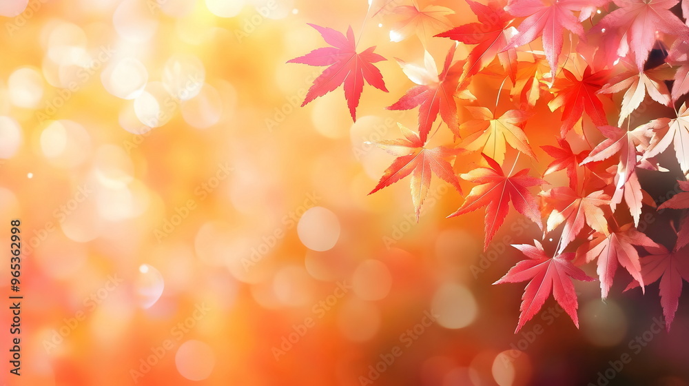 Vibrant Autumn Leaves Picturesque Natural Background Warm Colors Vibrant Autumn Leaves Picturesque Natural Background Warm Colors