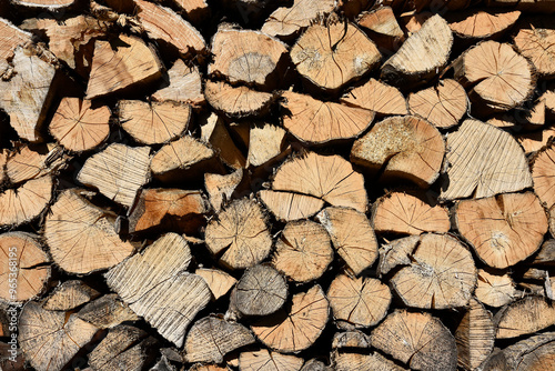 Firewood for the winter, stacked in a pile photo