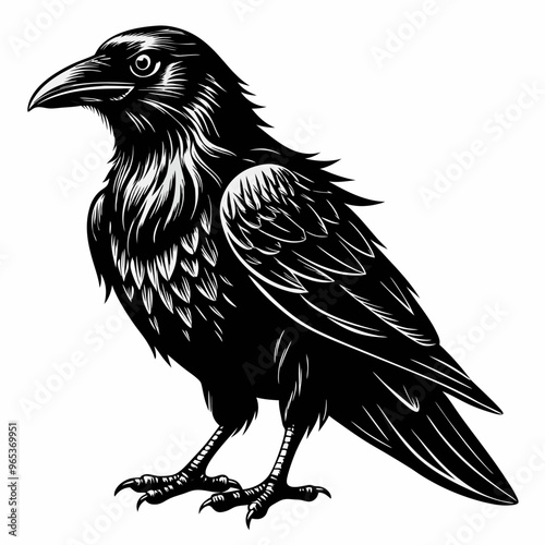 Intricate Black Raven Illustration on White Background