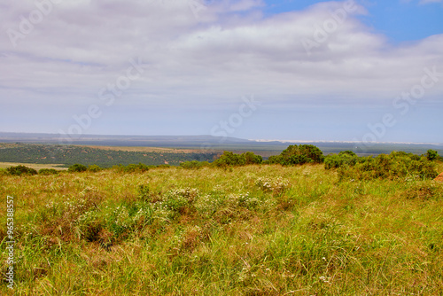 Eine Reise durch Südafrika. Auf Safari durch die afrikanische Savanne.