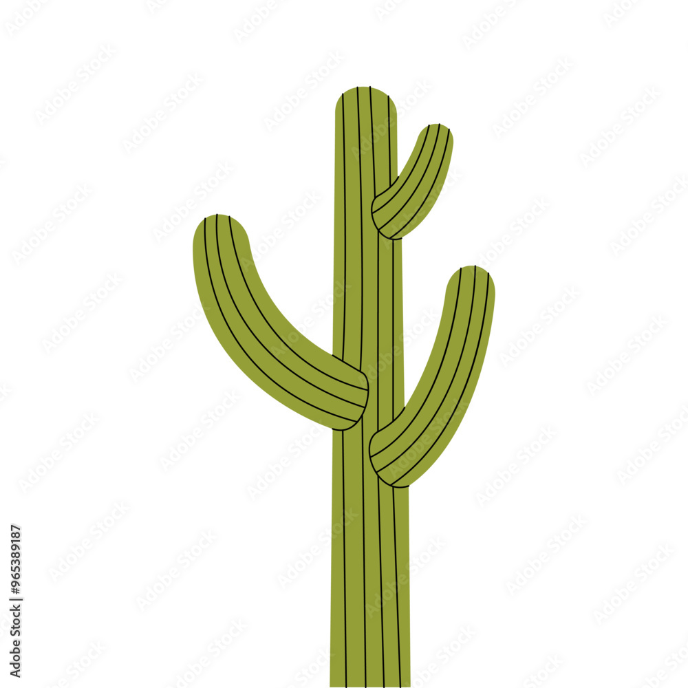 Cactus, cacti. Desert plants. Vector illustration. Cactus, cacti. Desert plants. Vector illustration.