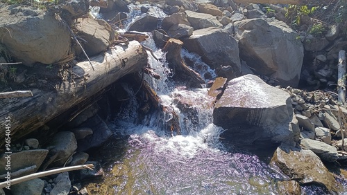 stream in the forest