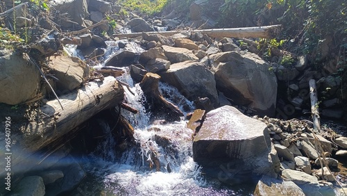 stream in the forest