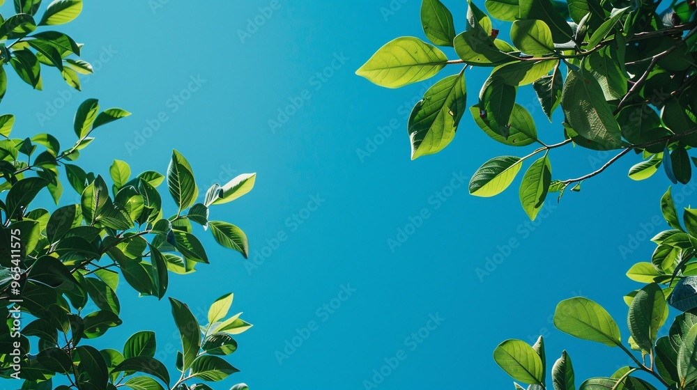 40. Fresh green leaves on branches, with a crisp blue sky in the background, creating a natural and serene scene with room for text 40. Fresh green leaves on branches, with a crisp blue sky in the background, creating a natural and serene scene with room for text
