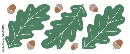 Oak leaves and acorns set