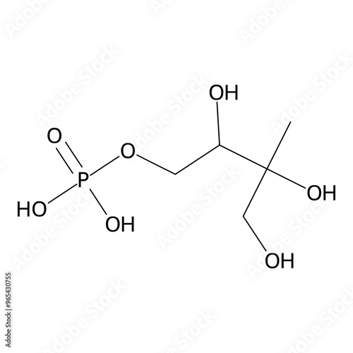 (2,3,4-trihydroxy-3-methyl-butyl) dihydrogen phosphate