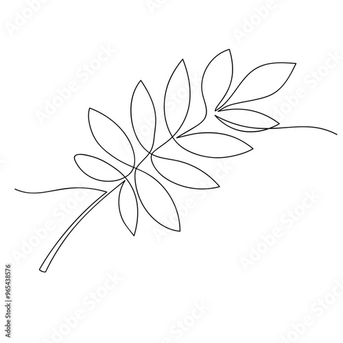 rowan leaf is drawn in single line on white background. floral motif in the minimalist style. stock vector illustration. EPS 10.