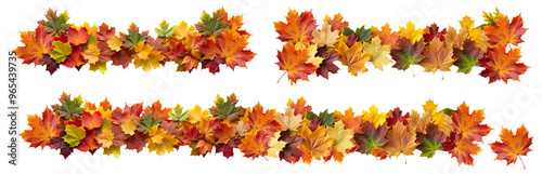 Autumn leaves border garlands set, isolated on transparent background, png elements collection. Colorful orange and yellow fall leaves photo