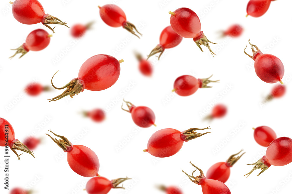 Falling Rose Hip isolated on white background, selective focus Falling Rose Hip isolated on white background, selective focus
