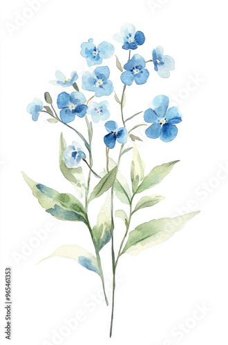 Simple watercolor soft blue forget-me-not flowers on a white background