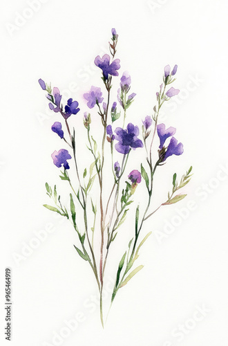 Simple watercolor tiny wildflower bouquet on a white background illustration