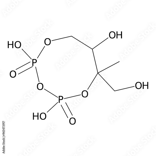 2,4-dihydroxy-2,4-diketo-6-methyl-6-methylol-1,3,5,2lambda5,4lambda5-trioxadiphosphocan-7-ol