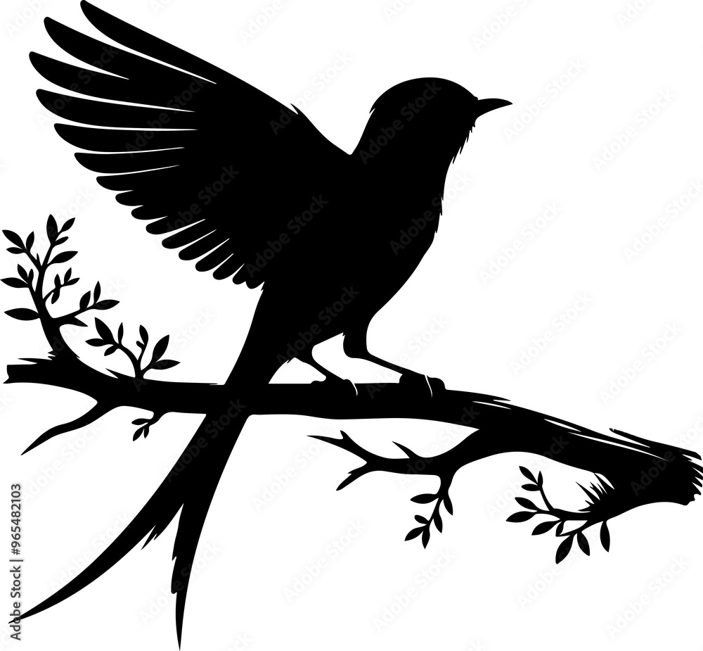 Fototapeta premium Black Drongo vector silhouette clip art. Vector of bird on white background. Birds Icon Greater Racket-tailed Drongo silhouette art.