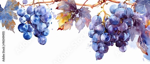 A beautiful watercolor painting of grapes on a vine, showcasing rich colors and intricate details in the leaves and fruit.