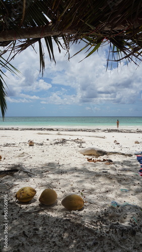 Survivor hut on the beach, tropical paradise