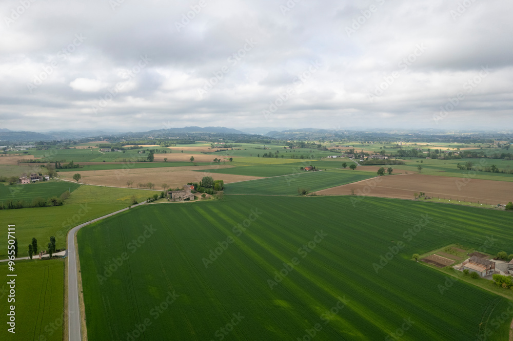 Aerial view of countryside with green fields and country road Aerial view of countryside with green fields and country road