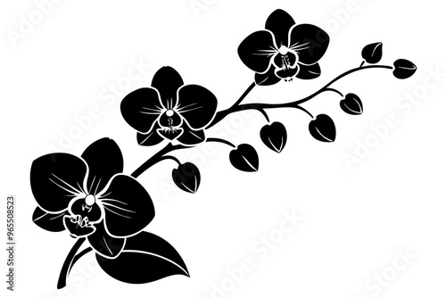 An orchid branch with flowers, unopened buds, and a stem vector art silhouette illuatration