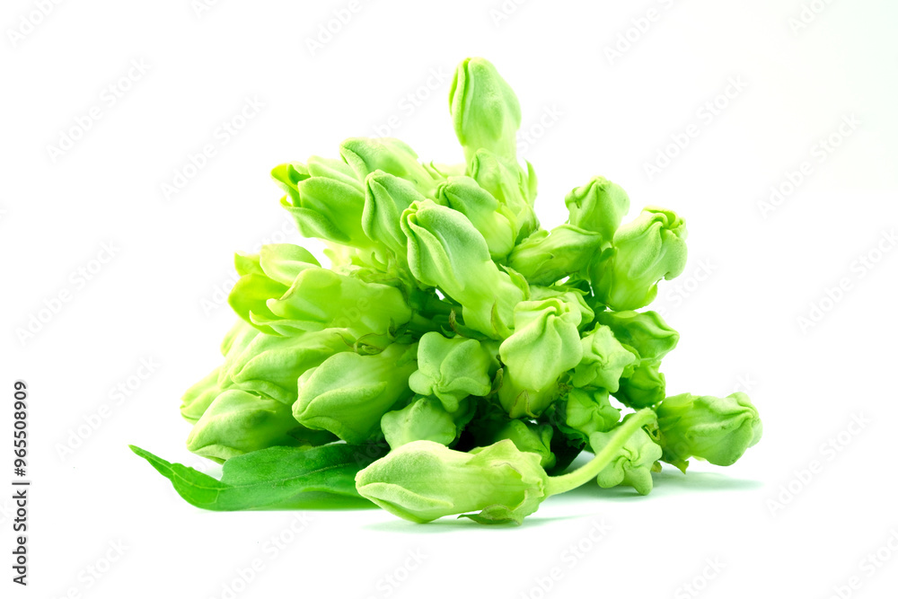Bunch of fresh Cowslip Creeper (Telosma Cordata) Flowers and green leaf isolated on white background closed up stack. Bunch of fresh Cowslip Creeper (Telosma Cordata) Flowers and green leaf isolated on white background closed up stack.