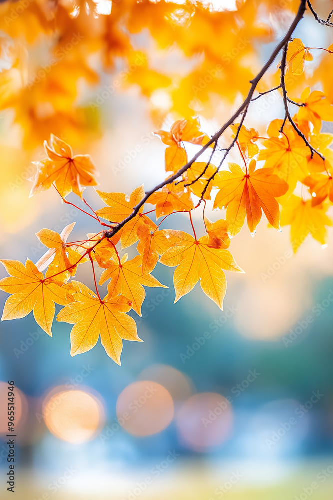A branch with yellow leaves is shown in a photo