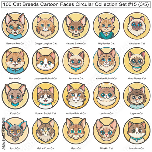 Cat Breeds Cartoon Faces Circular Collection Set of 100 Cat Faces Isolated Part 3 photo