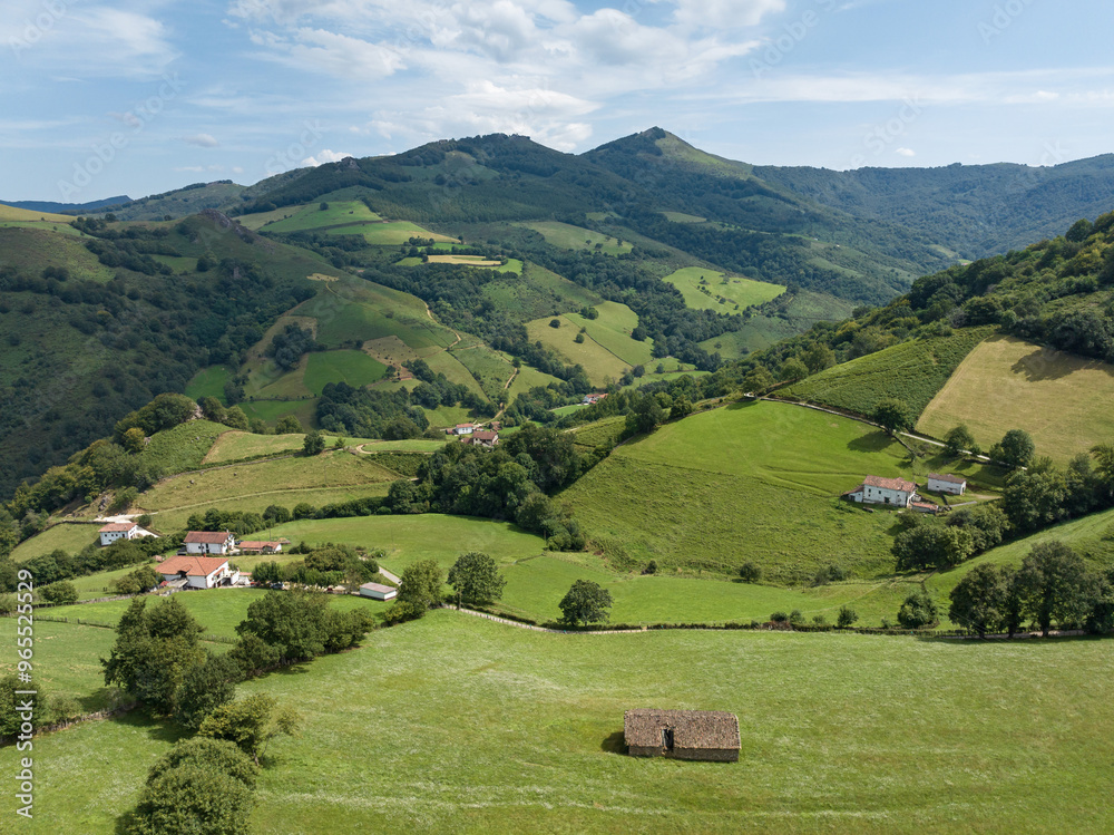 Green meadows in the Baztan Valley. Navarre Green meadows in the Baztan Valley. Navarre